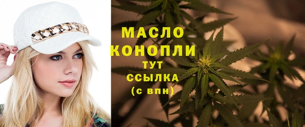 стаф Медногорск