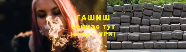 стаф Медногорск