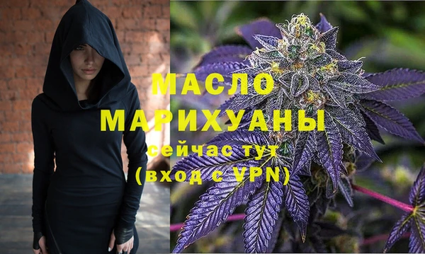 стаф Медногорск