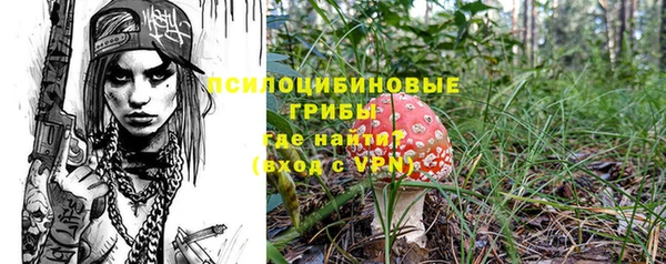 стаф Медногорск